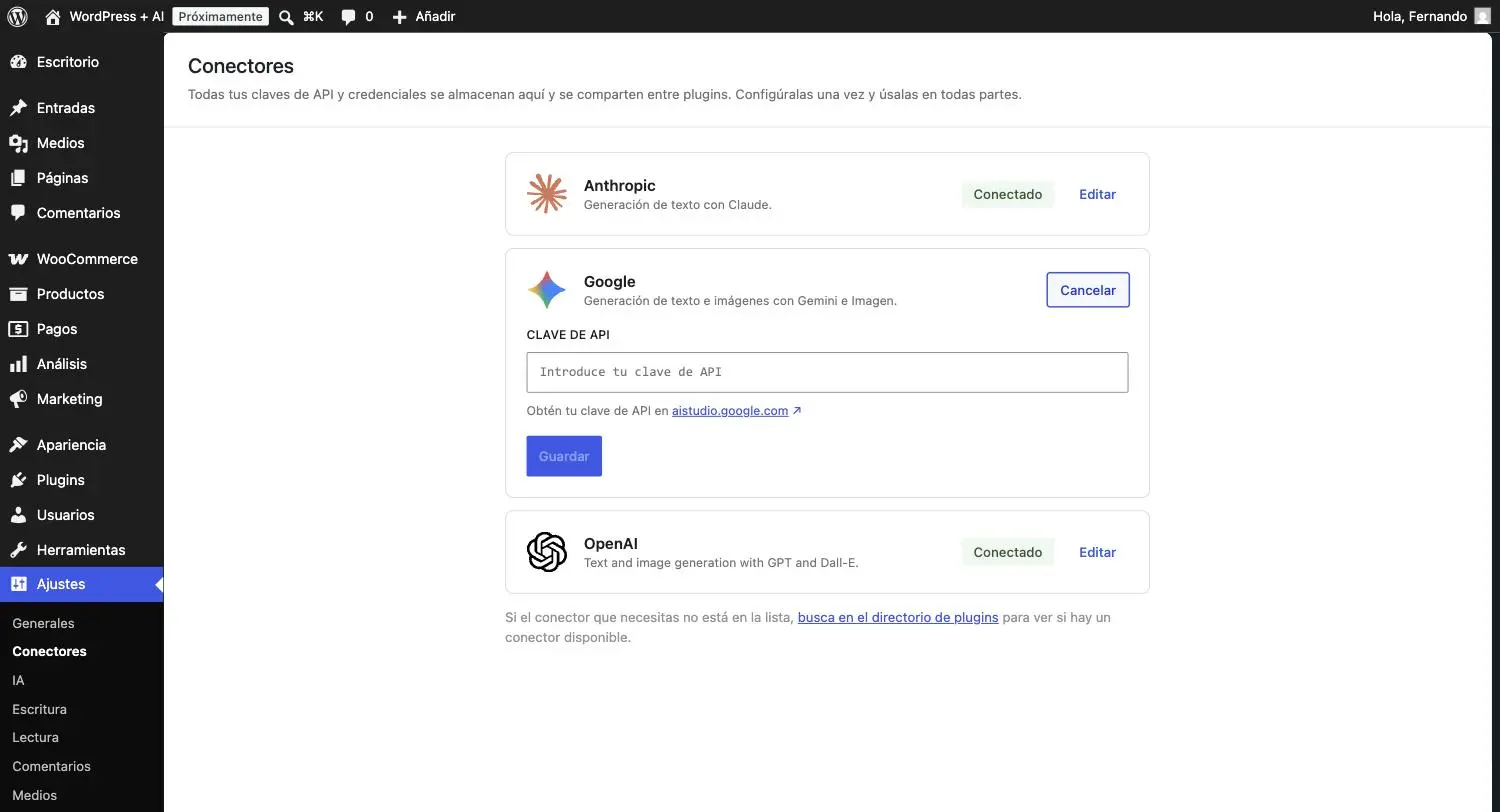 El campo para introducir la clave de API de Google, con el enlace a aistudio.google.com para conseguirla.